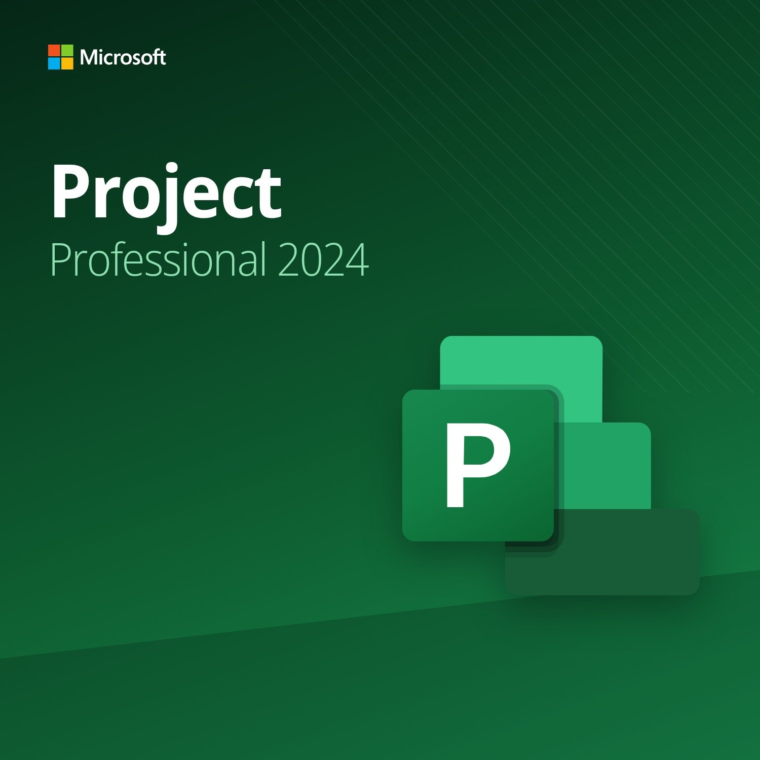 microsoft-project-2024-professional Microsoft Project 2024 Professional – Licenza a Vita 1 PC | Product Key Digitale - immagine 1