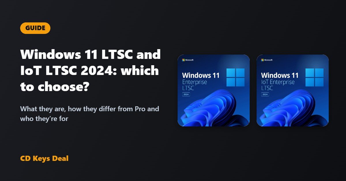 Windows 11 LTSC and IoT LTSC 2024: what they are and which to choose